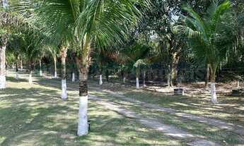 Imagem 4: 2 dormitórios na Estrada Da Ligação