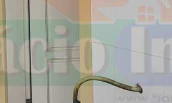 Imagem 6: 3 dormitórios na Avenida Saquarema