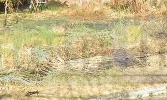 Imagem 4: 1000M² de Área Total na Rua Jacarepiá