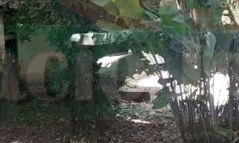 Imagem 7: 450M² de Área Total na Rua Das Jaqueiras