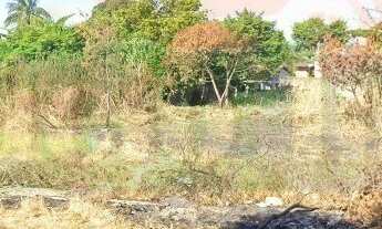 Imagem 6: 1000M² de Área Total na Rua Jacarepiá