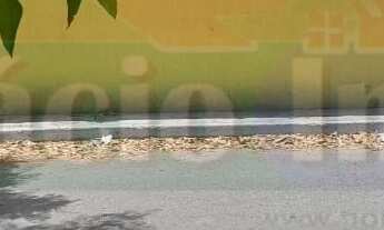 Imagem 5: 450M² de Área Total na Rua Das Jaqueiras