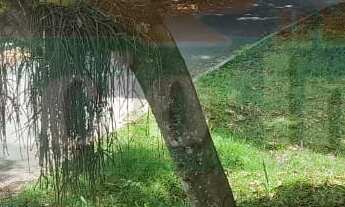 Imagem 4: 450M² de Área Total na Rua Das Jaqueiras