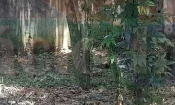 Imagem 6: 450M² de Área Total na Rua Das Jaqueiras