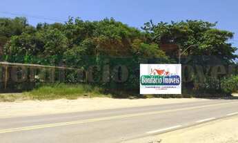 Imagem: Na Rodovia Amaral Peixoto