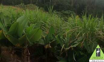 Imagem 6: Ibiúna Chácara! Terr. 11.880 m²