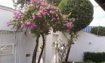 Imagem 3: VILA ANTONINA - 170M² EM TERRENO DE 202M² - 3 DORMS SENDO 2 SUITES E 4 VAGAS