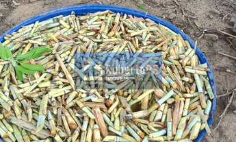 Imagem 6: Fazenda à venda em Cristalina-GO: 3 quartos, 1 suíte, 2 banheiros, 3 vagas de garagem e 6