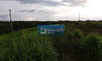 Imagem: Fazenda à venda em Cristalina-GO 3 quartos