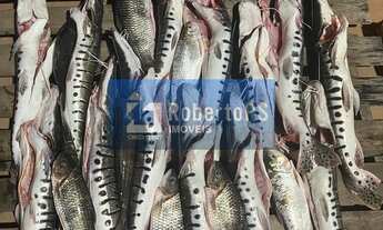 Imagem 2: Fazenda de luxo à venda em General Carneiro-MT: 4 quartos, 3 banheiros, 2 vagas de garagem