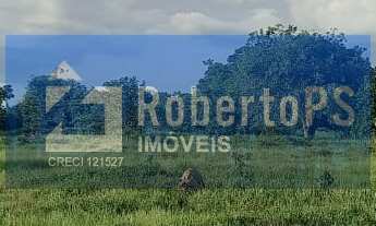 Imagem 6: Maravilhosa Fazenda à venda na região do Piaba!