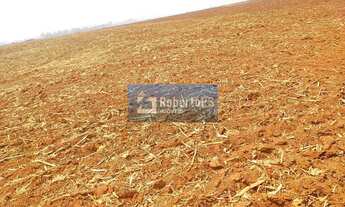 Imagem: Fazenda à venda na Região de Confresa