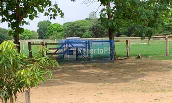Imagem 5: Maravilhosa Fazenda à venda na região do Piaba!