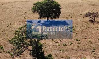 Imagem 3: Fazenda de 1.158 hectares à venda no Centro de Nova Lacerda-MT: 2 quartos, 1 suíte, 1 sala
