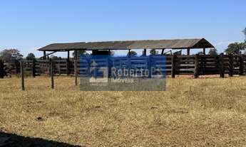 Imagem 6: Fazenda de 1.158 hectares à venda no Centro de Nova Lacerda-MT: 2 quartos, 1 suíte, 1 sala