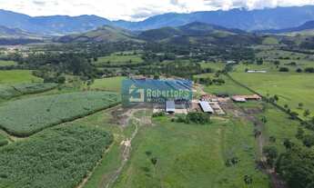 Imagem 6: Fazenda de 98,6 hectares com infraestrutura completa totalmente plana