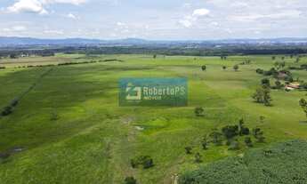 Imagem 3: Fazenda de 98,6 hectares com infraestrutura completa totalmente plana