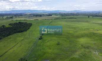 Imagem 7: Fazenda de 98,6 hectares com infraestrutura completa totalmente plana