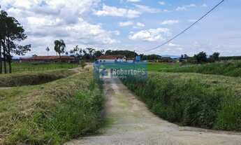 Imagem 2: Fazenda de 98,6 hectares com infraestrutura completa totalmente plana