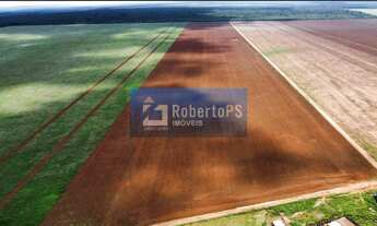 Imagem: Fazenda Água Limpa região de Paranatinga-MT