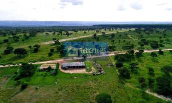 Imagem 3: Fazenda excelente em Minas Gerais com pista de Pouso, Plantio e cortes eucaliptos
