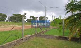 Imagem 6: Fazenda excelente em Minas Gerais com pista de Pouso, Plantio e cortes eucaliptos
