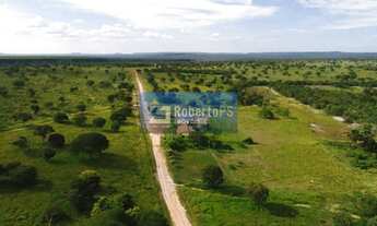 Imagem 2: Fazenda excelente em Minas Gerais com pista de Pouso, Plantio e cortes eucaliptos