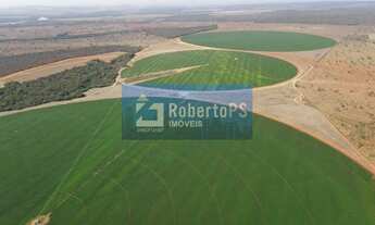 Imagem 3: A melhor fazenda do Brasil, localizada em Minas Gerais produzindo atualmente SOJA e tem co