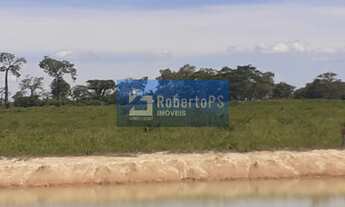 Imagem: Espetacular fazenda para plantação de