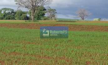 Imagem 5: Fazenda de luxo à venda no Centro de Presidente Prudente-SP: 3 quartos, 1 sala, 2 banheiro
