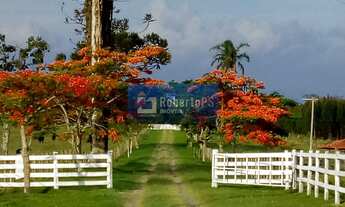Imagem: Fazenda à venda em Sarapuí-SP 15 quartos