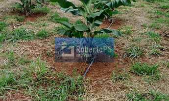 Imagem 7: Vendo Sitio de Luxo no Canto das Águas em Jacareí-SP: 3 quartos, 1 sala, 2 banheiros, 1 va