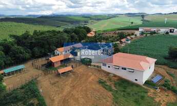 Imagem 4: Fazenda Comercial à Venda em Minduri-MG - Bairro Centro, 171 hectares de Área