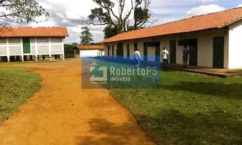 Imagem 5: Fazenda no Sul de Minas de 440 hectares