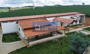 Imagem 3: Fazenda Comercial à Venda em Minduri-MG - Bairro Centro, 171 hectares de Área