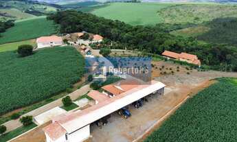 Imagem 5: Fazenda Comercial à Venda em Minduri-MG - Bairro Centro, 171 hectares de Área