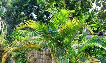 Imagem 7: Casa térrea com 159m2 construídos em terreno de 275m2