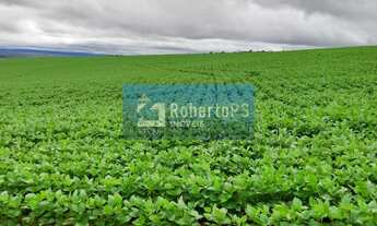 Imagem 4: Fazenda à venda com 135 alqueires goiano