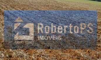 Imagem 7: Fazenda à venda com 135 alqueires goiano