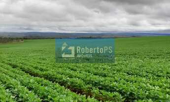 Imagem 5: Fazenda à venda com 135 alqueires goiano