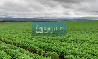 Imagem 2: Fazenda à venda com 135 alqueires goiano