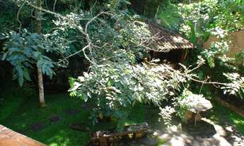 Imagem 7: Sabe aquele lugar gostoso onde você escuta o barulho dos pássaros e o balançar das árvores