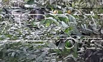 Imagem 6: Casa próxima ao Pico do Corcovado em Ubatuba-SP