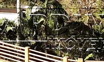 Imagem: Casa em condomínio, com churrasqueira