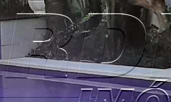 Imagem 6: Casa de temporada a 60 metros do mar, com piscina, no condomínio Pedra Verde, praia do Láz