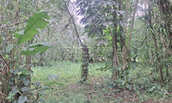 Imagem 2: Amplo terreno em condomínio, frente ao mar (pé na areia), na praia Dura em Ubatuba!