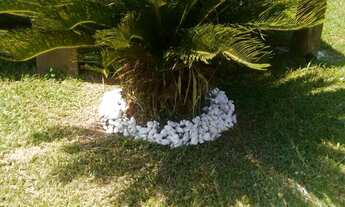 Imagem 3: CHACARA RESIDENCIAL em AMERICANA - SP, nova odessa