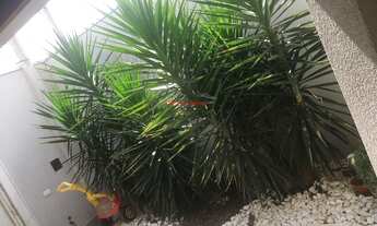 Imagem 5: CASA RESIDENCIAL em americana - SP, parque universitario