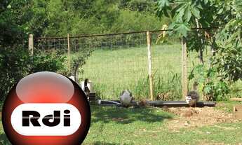 Imagem 5: CHACARA RESIDENCIAL em CAPIVARI - SP, MOMBUCA