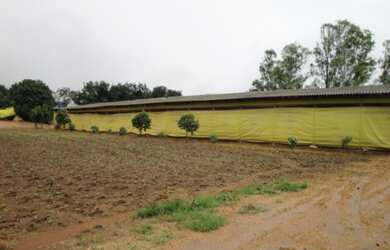 Imagem 3: SÍTIO em Campo Verde - MT, Zona Rural